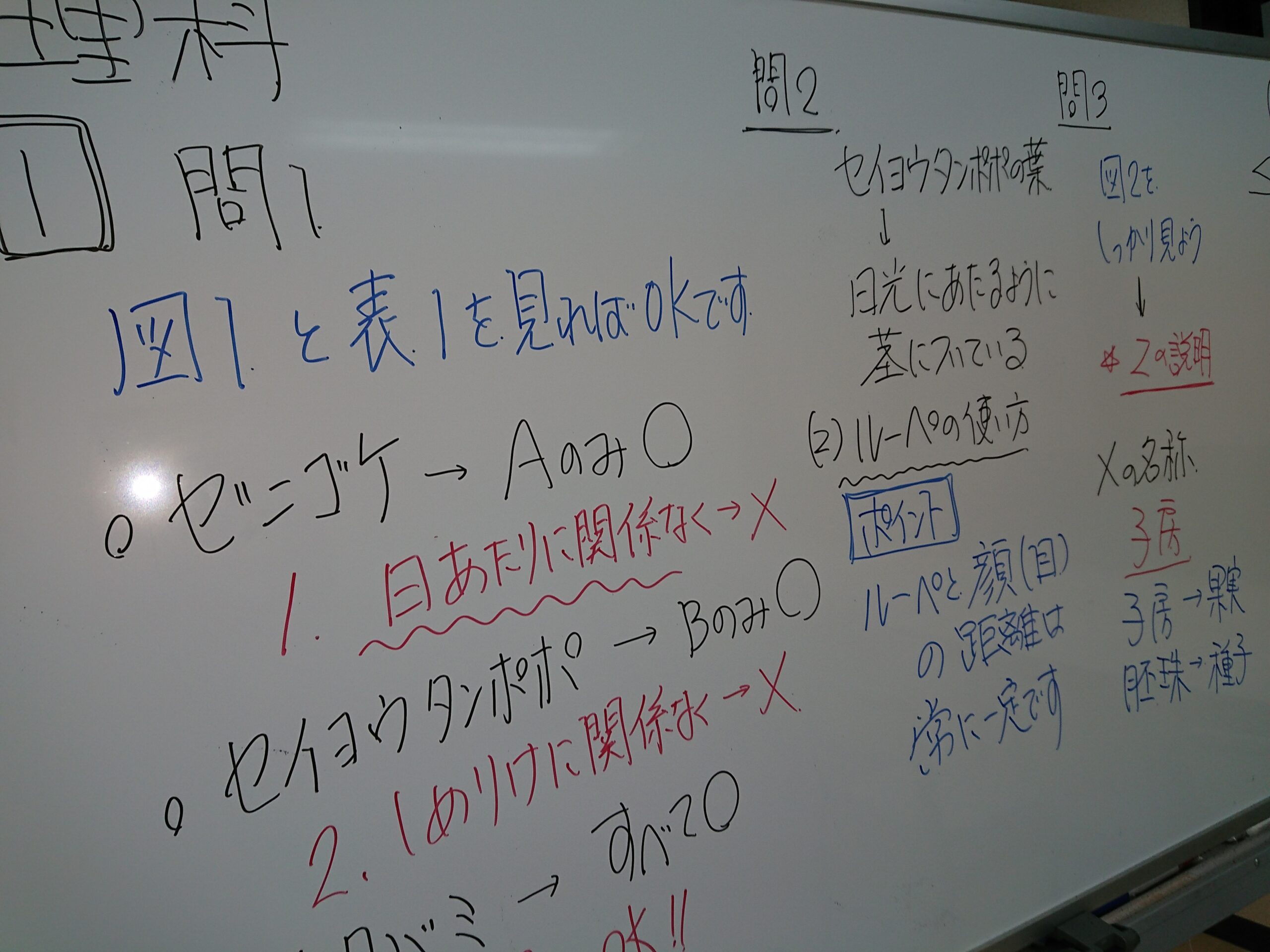 単語を覚える上で大事なこと！！！！！